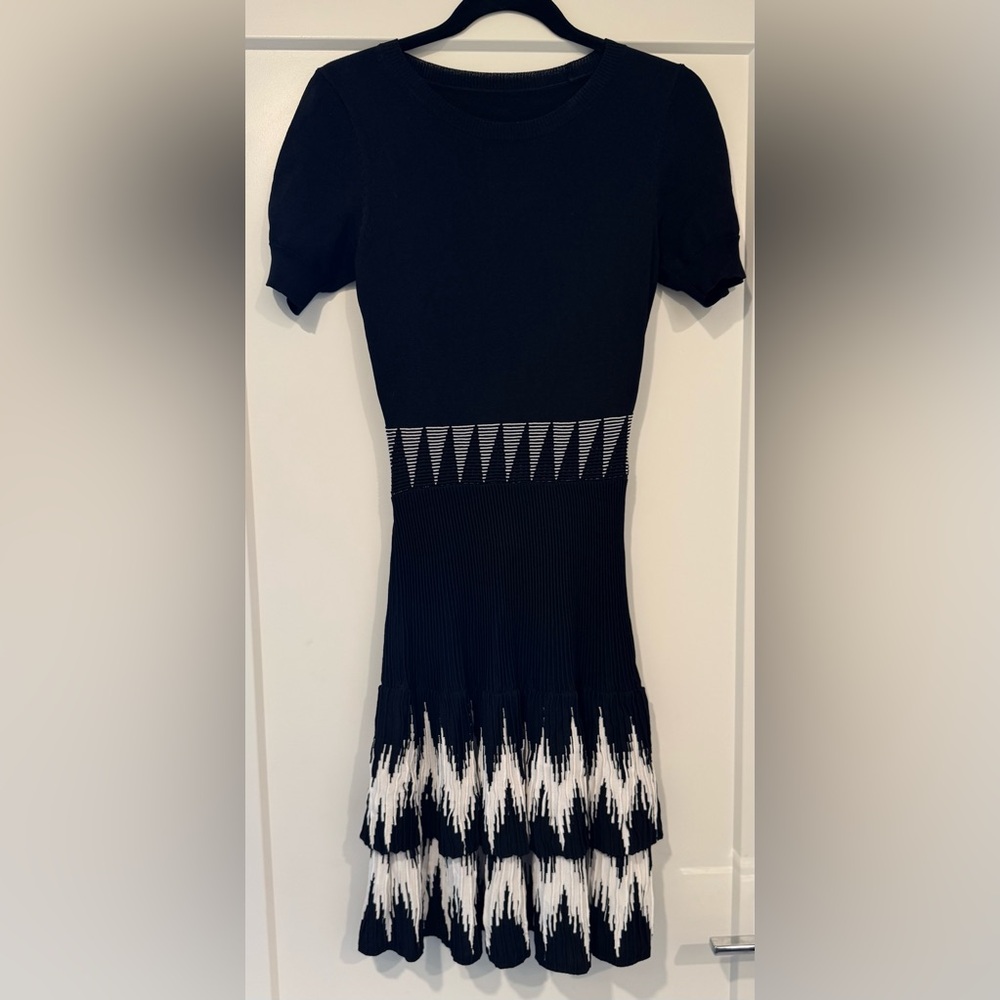 Excellent condition! Black and White Fit and Flare Knee-Length Dress